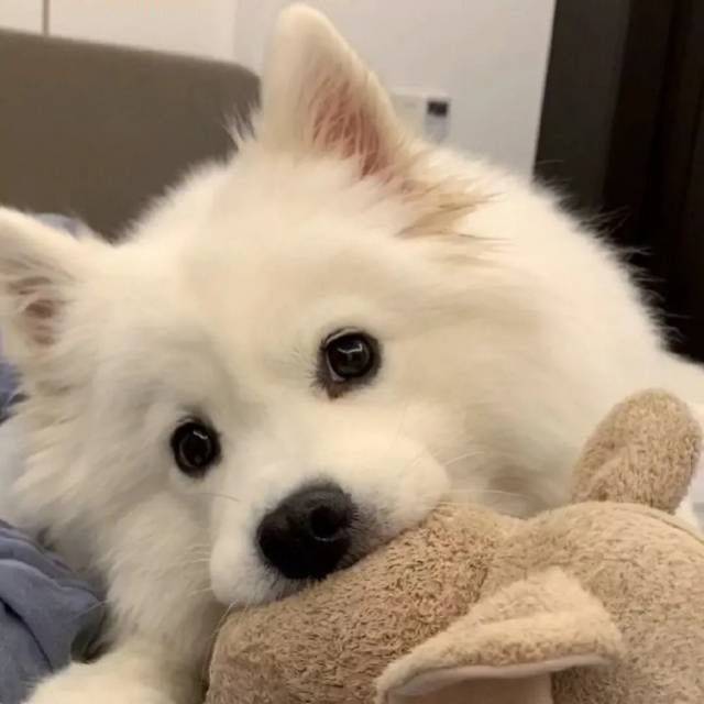 。。。