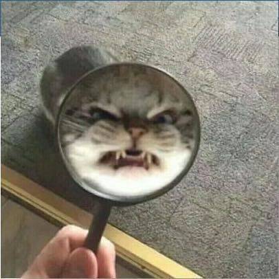 it