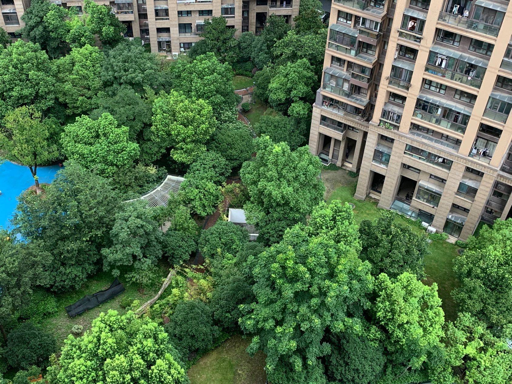 Hangzhou Xihu Cozy Home Chilled hangzhou-xihu-cozy-home-chilled