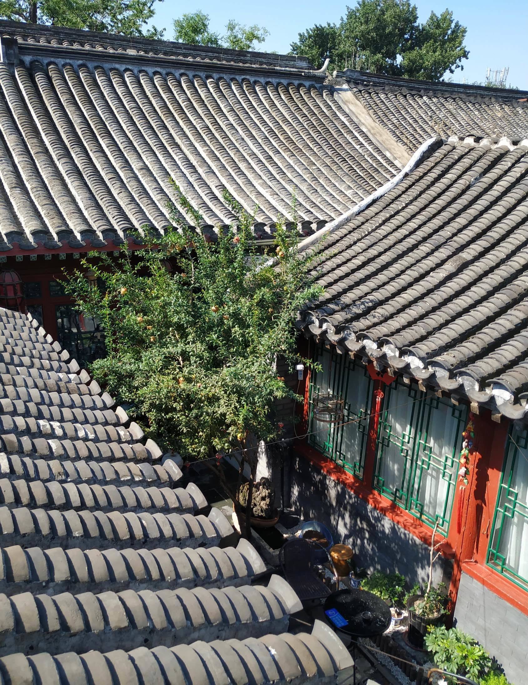 Beijing-Xicheng-单位自建房 物业一流 ,一梯两户 低密度,二环边 学区房,Pet Friendly,Cozy Home,Clean&Comfy,Chilled