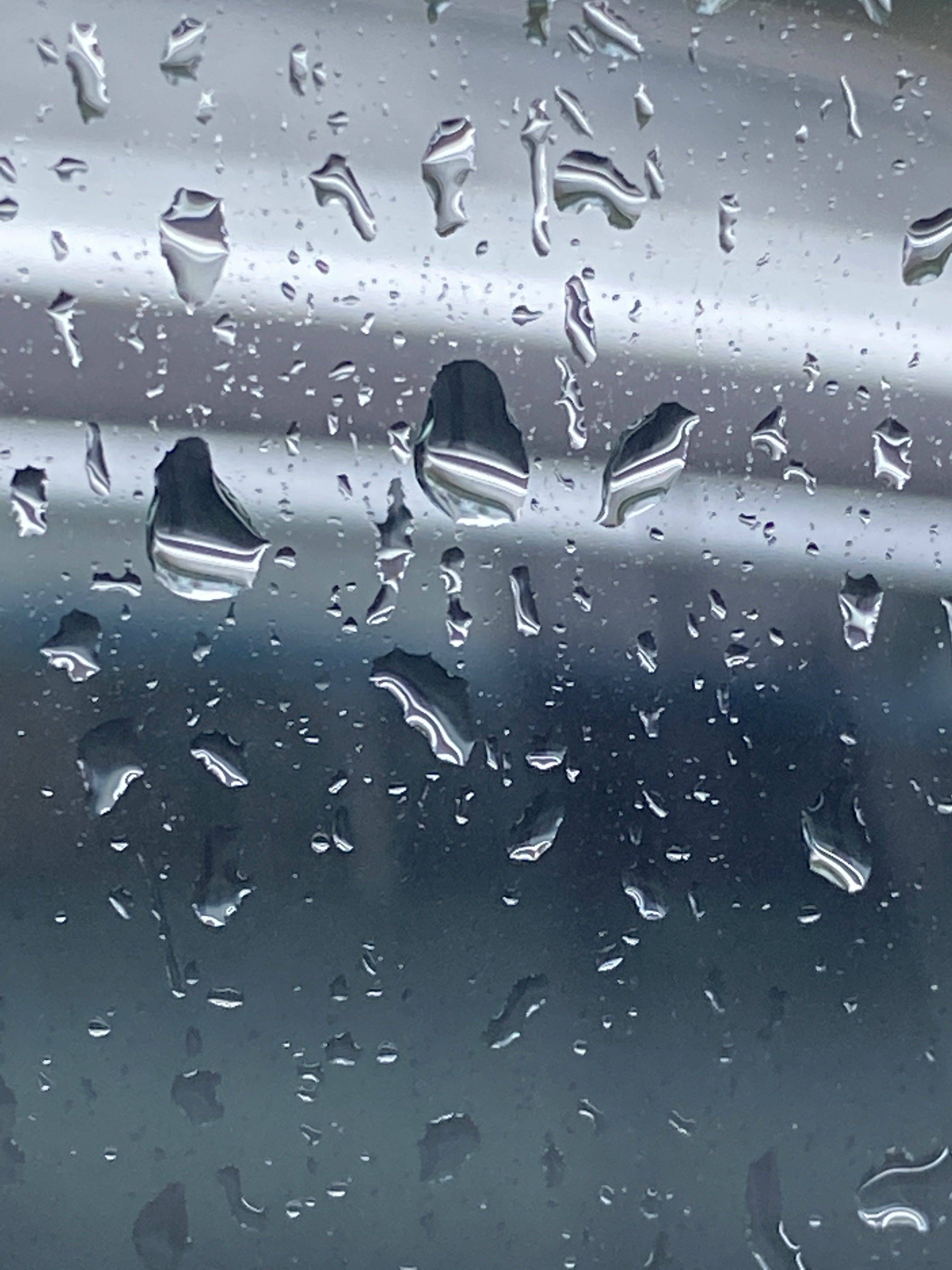 life_photo_1