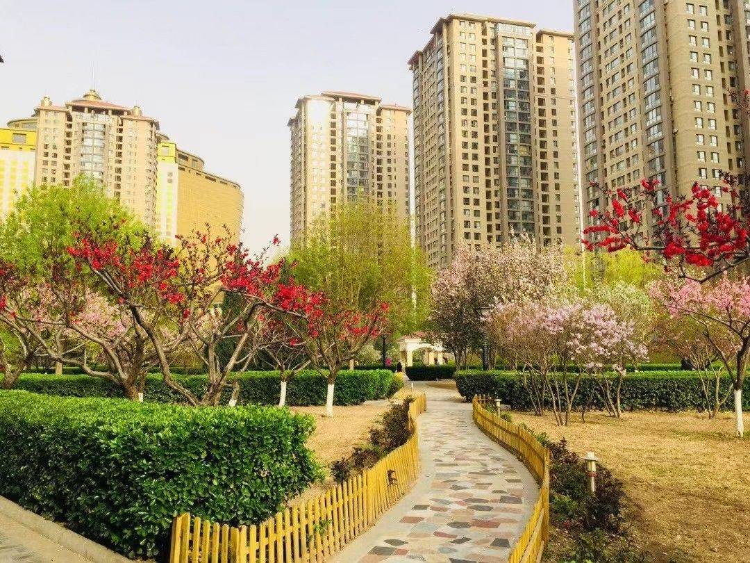 北京-朝陽-Service Apartment,CBD