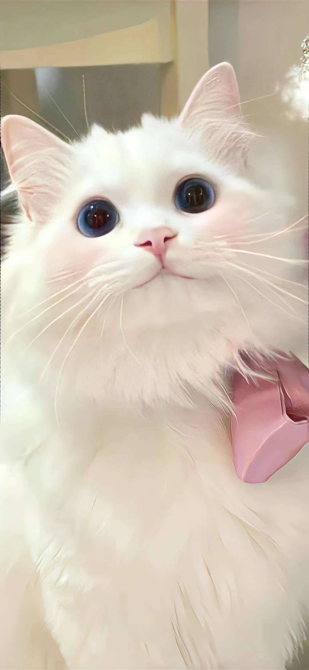 Tiam