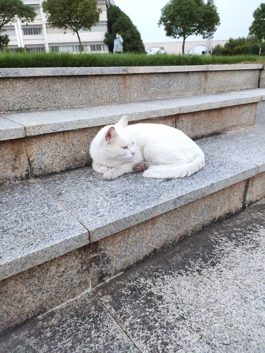 的的