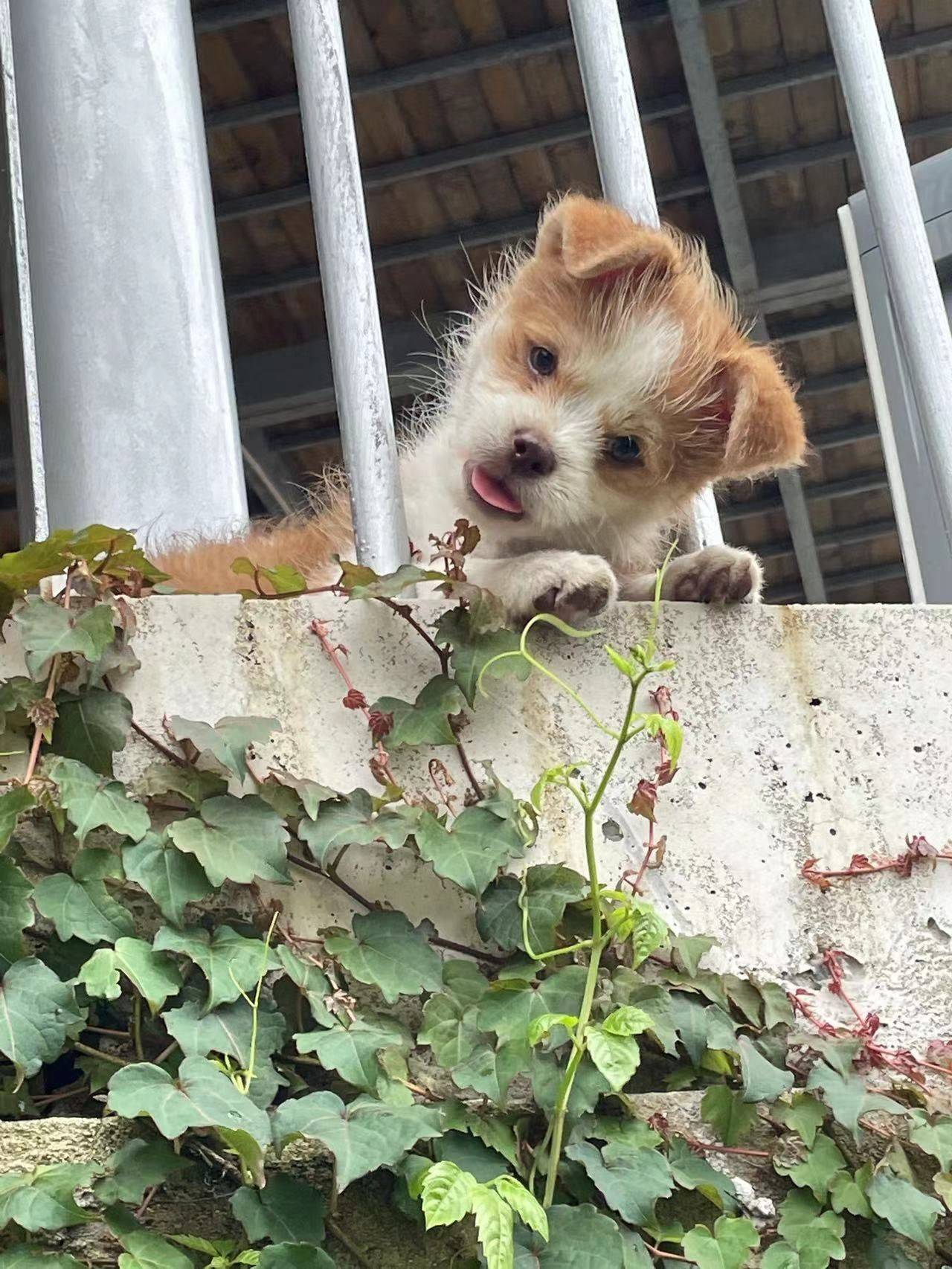 好好生活