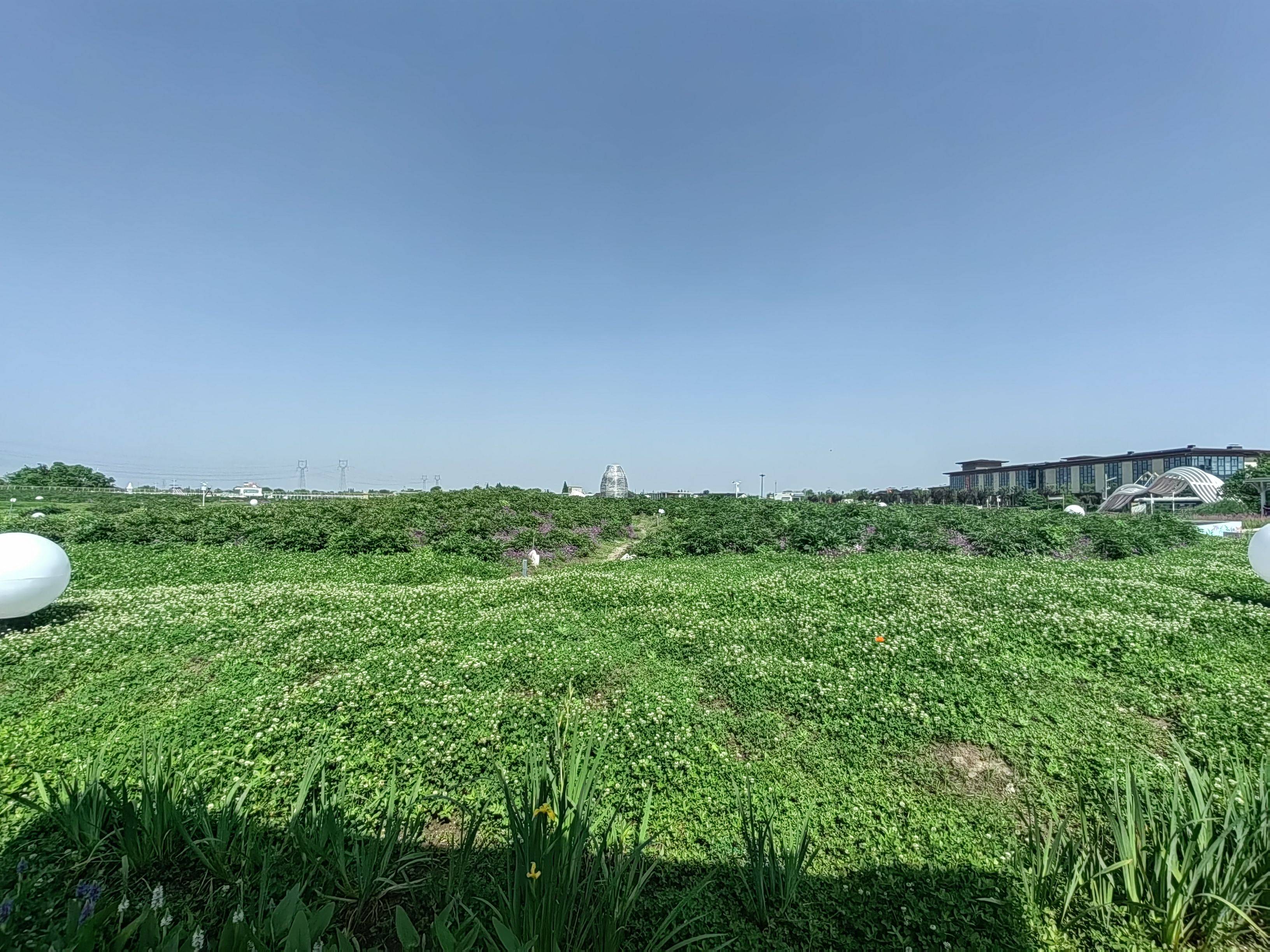 三太子之咫尺天涯