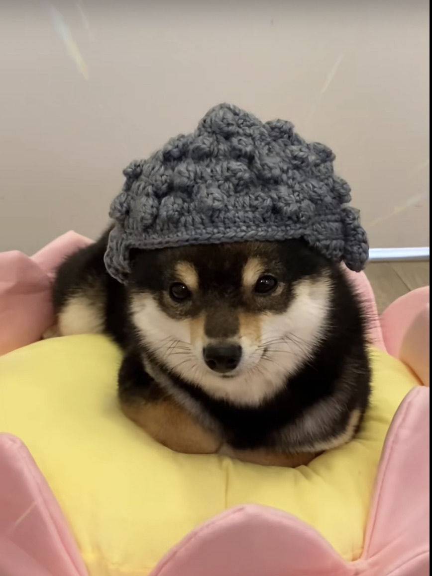 格林绿