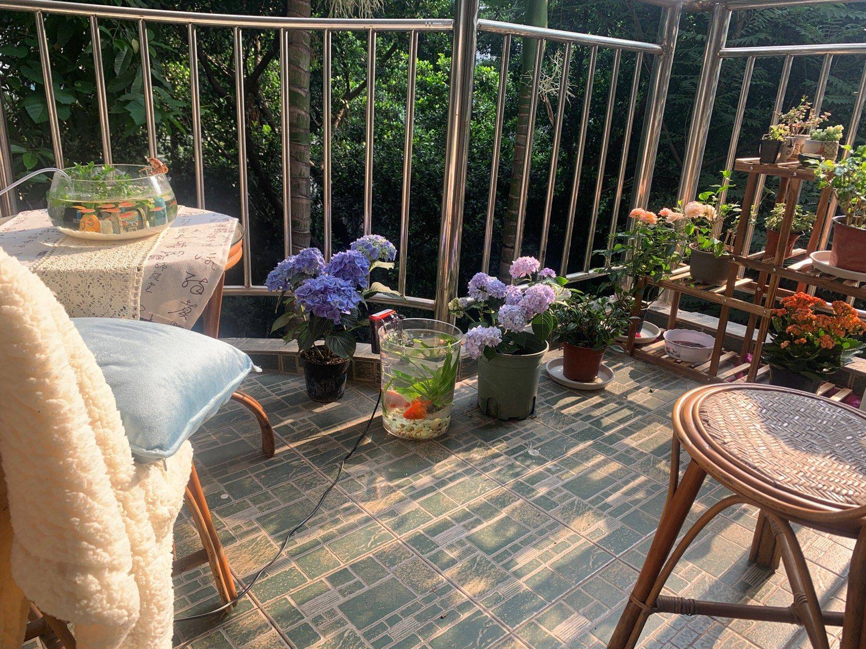 Chongqing-Nan'An-Cozy Home