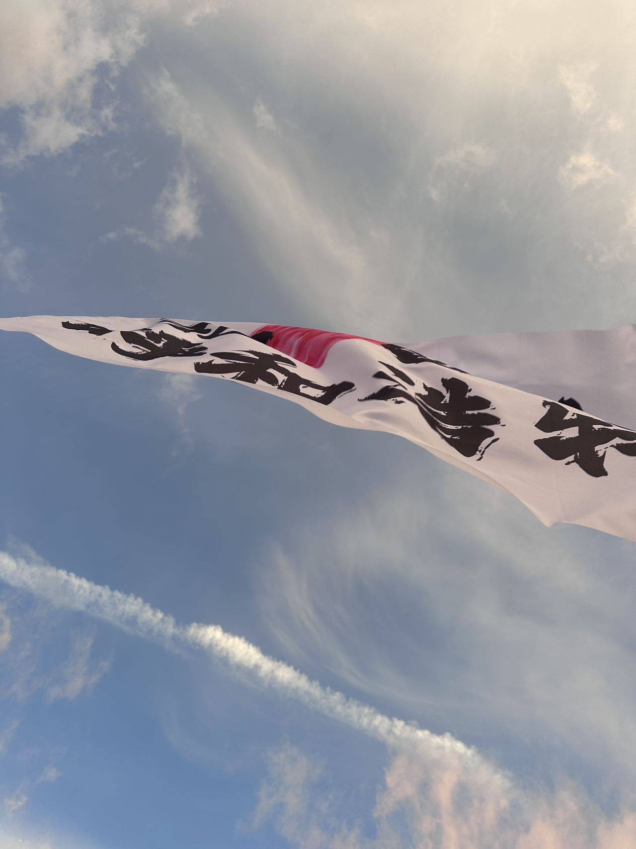 椒闫可乐