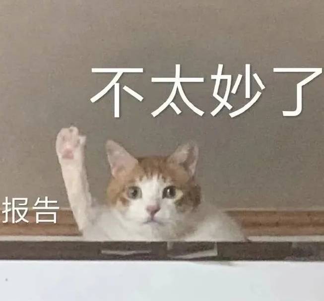 汤圆