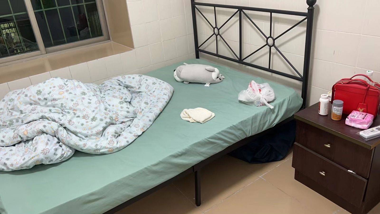 Shenzhen-BaoAn-猫咪友好,Cozy Home,No Gender Limit