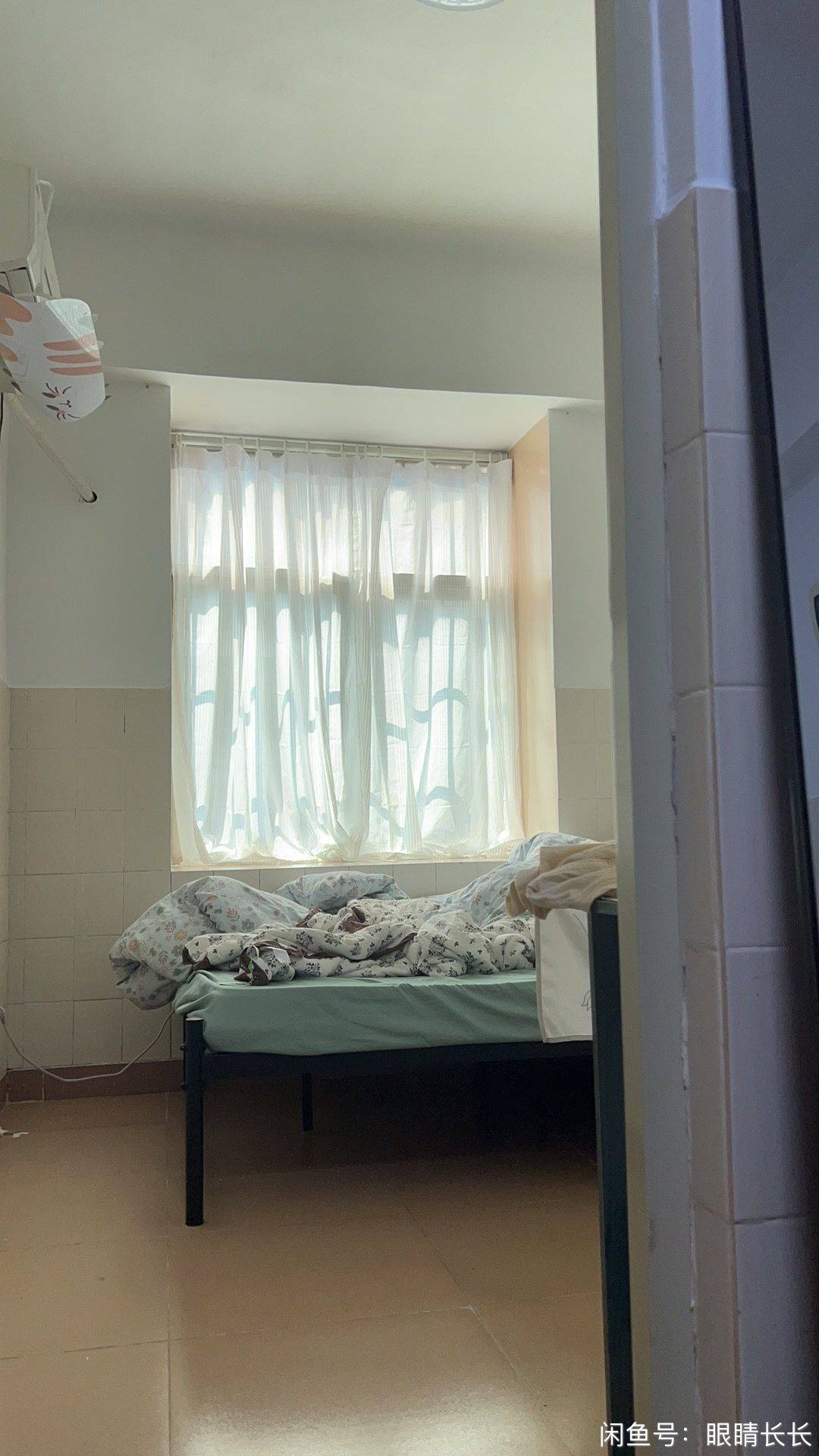 Shenzhen-BaoAn-猫咪友好,Cozy Home,No Gender Limit