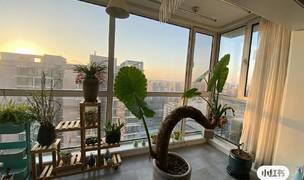 北京-朝阳-温馨小窝,干净治愈,不限性别,慢时光