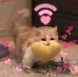 糖分