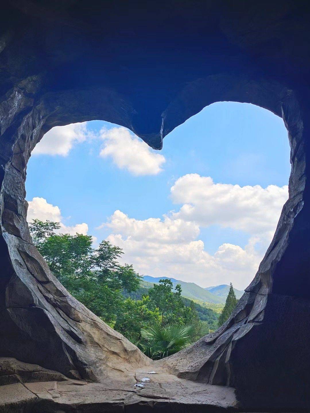 阿饭