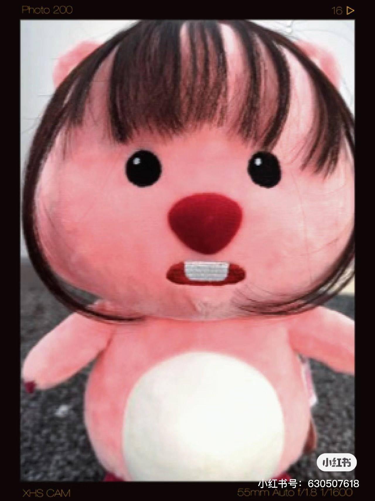找个好房