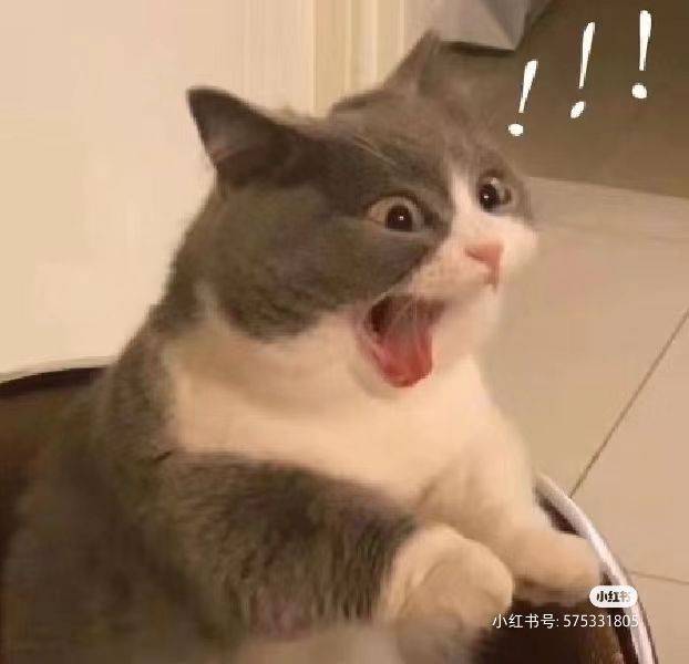 3333