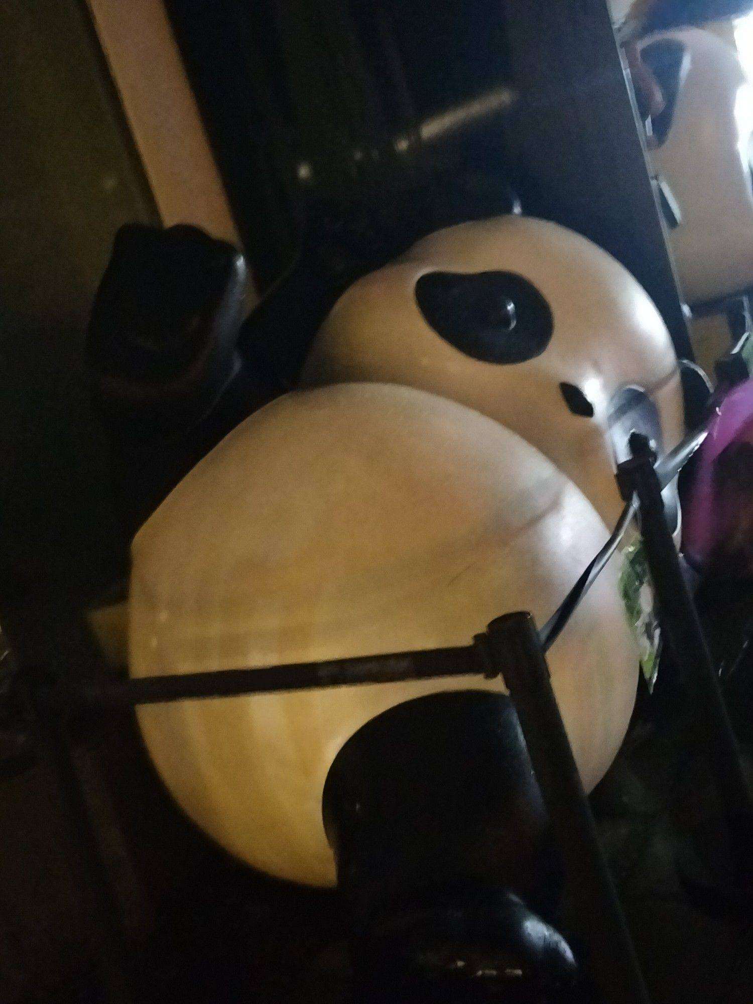 王女士