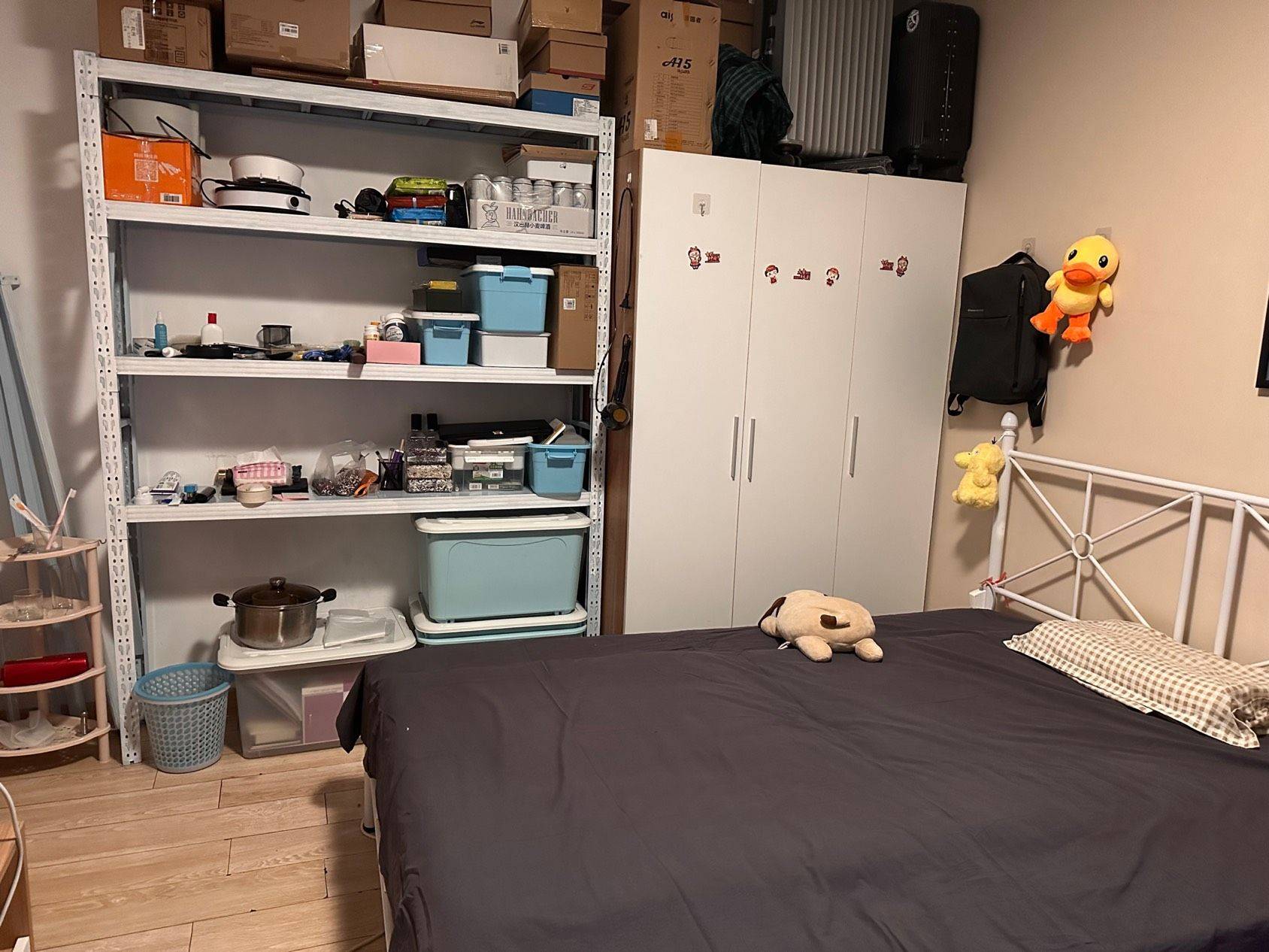 hangzhou-binjiang-cozy-home-clean-comfy-chilled-pet-friendly