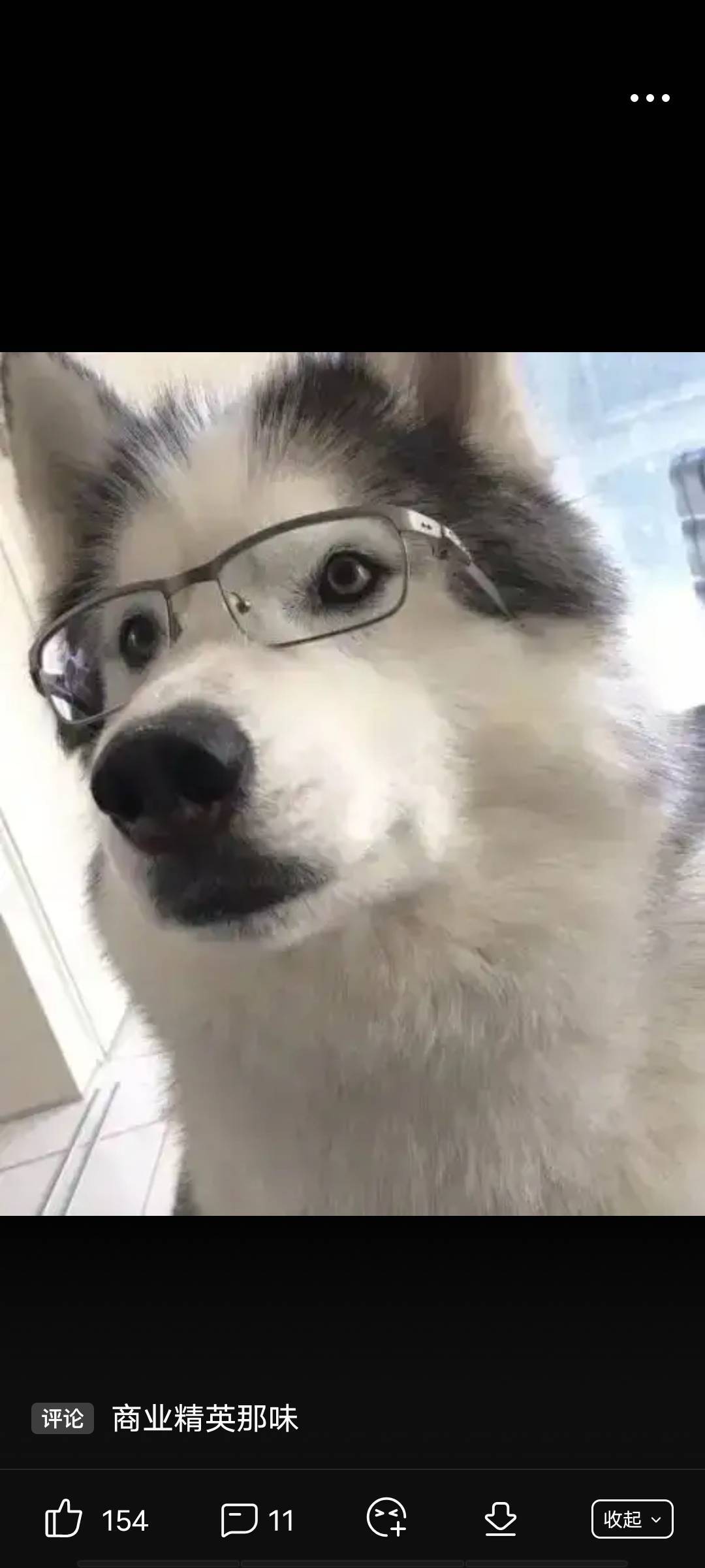 白术