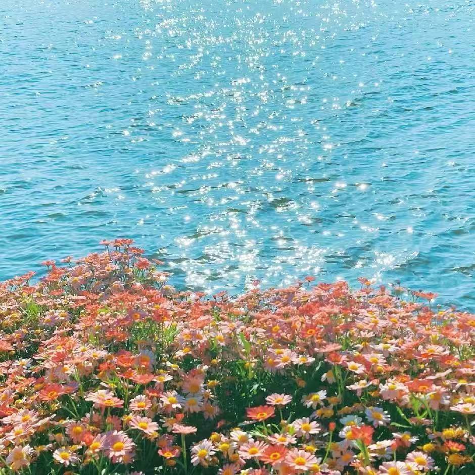 一顺