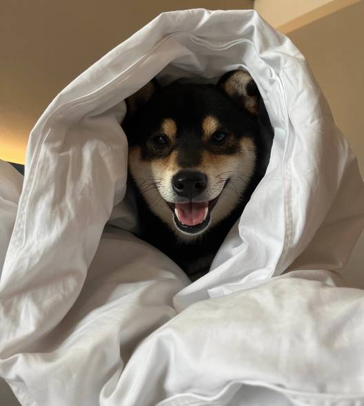 风间