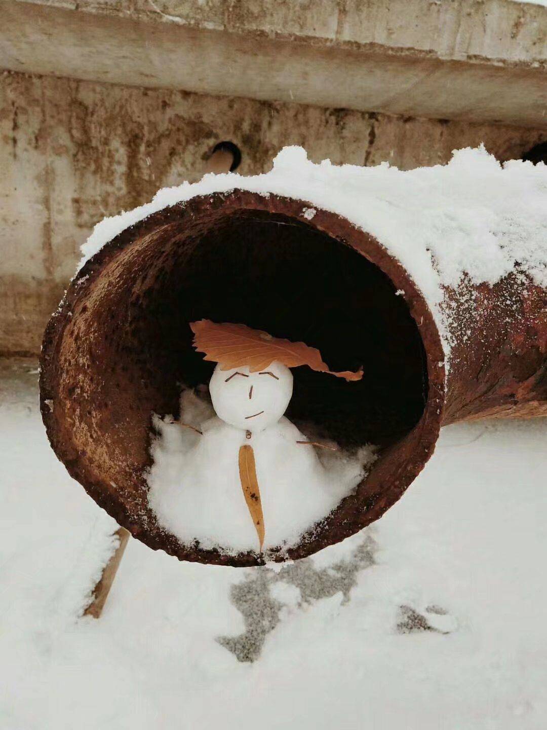 石榴