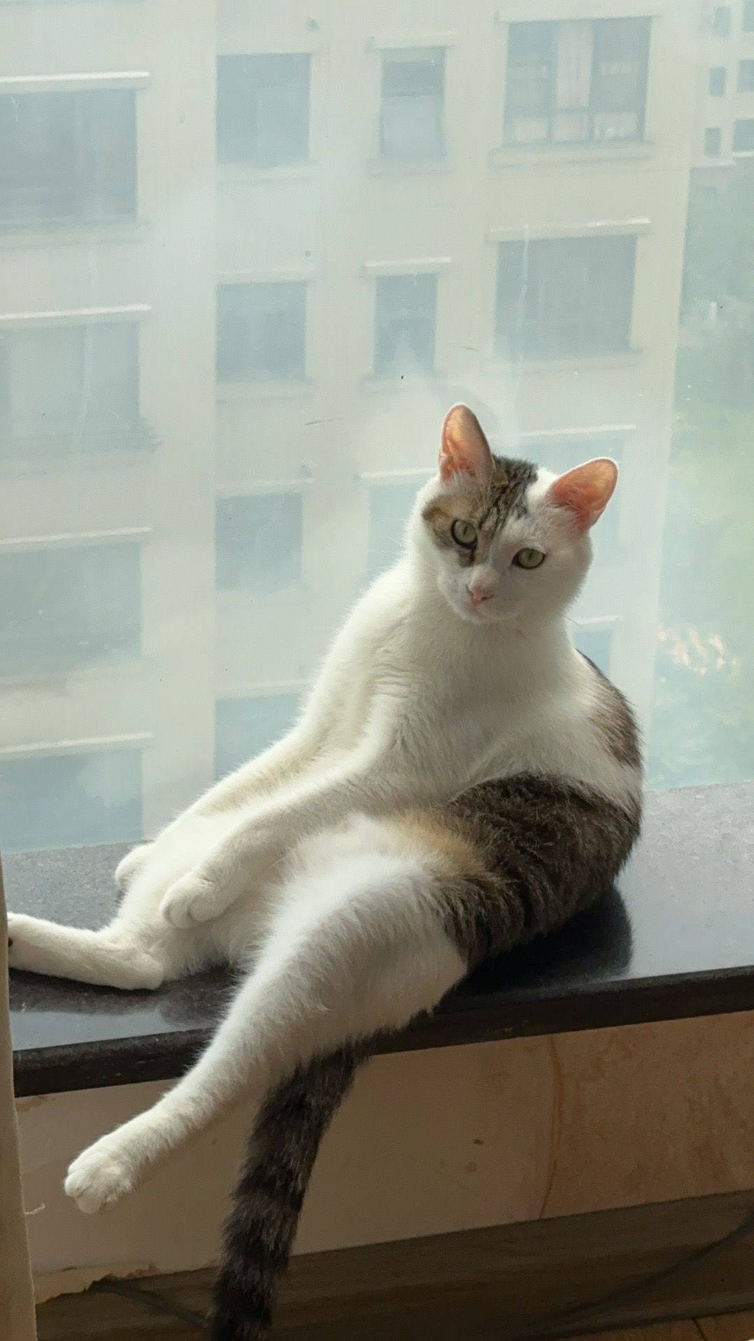 是陸小姐💒