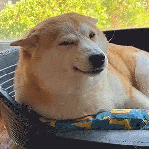 咳咳