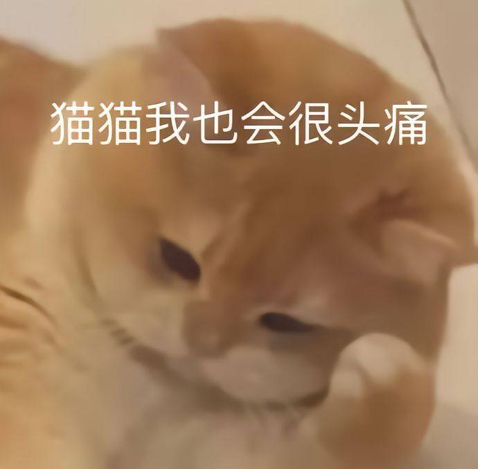 再找不到我就睡地铁站