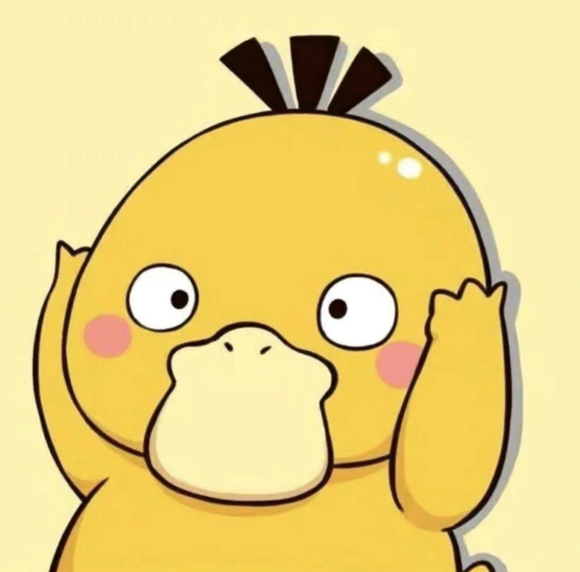 CY