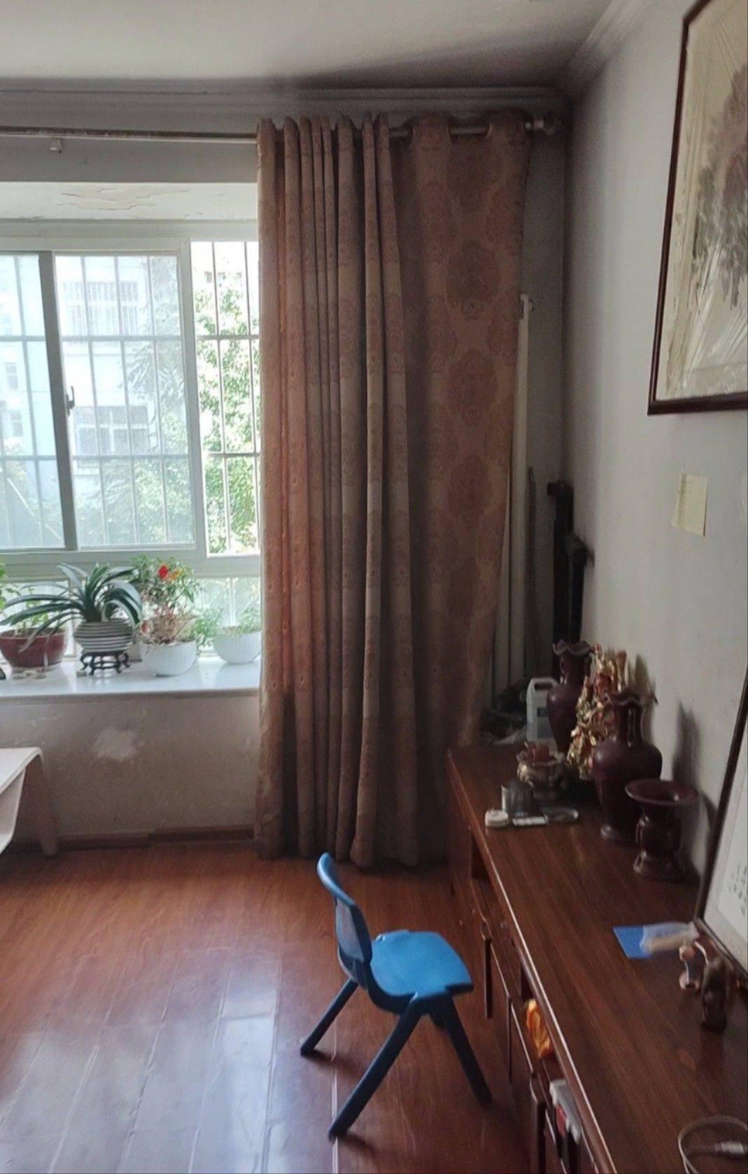 郑州-金水-市井烟火气,宠物友好