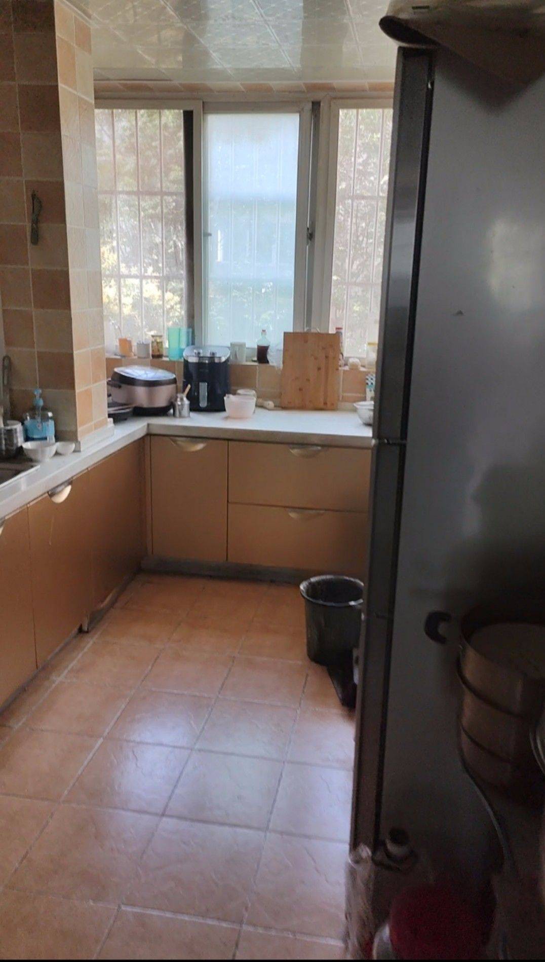 郑州-金水-市井烟火气,宠物友好