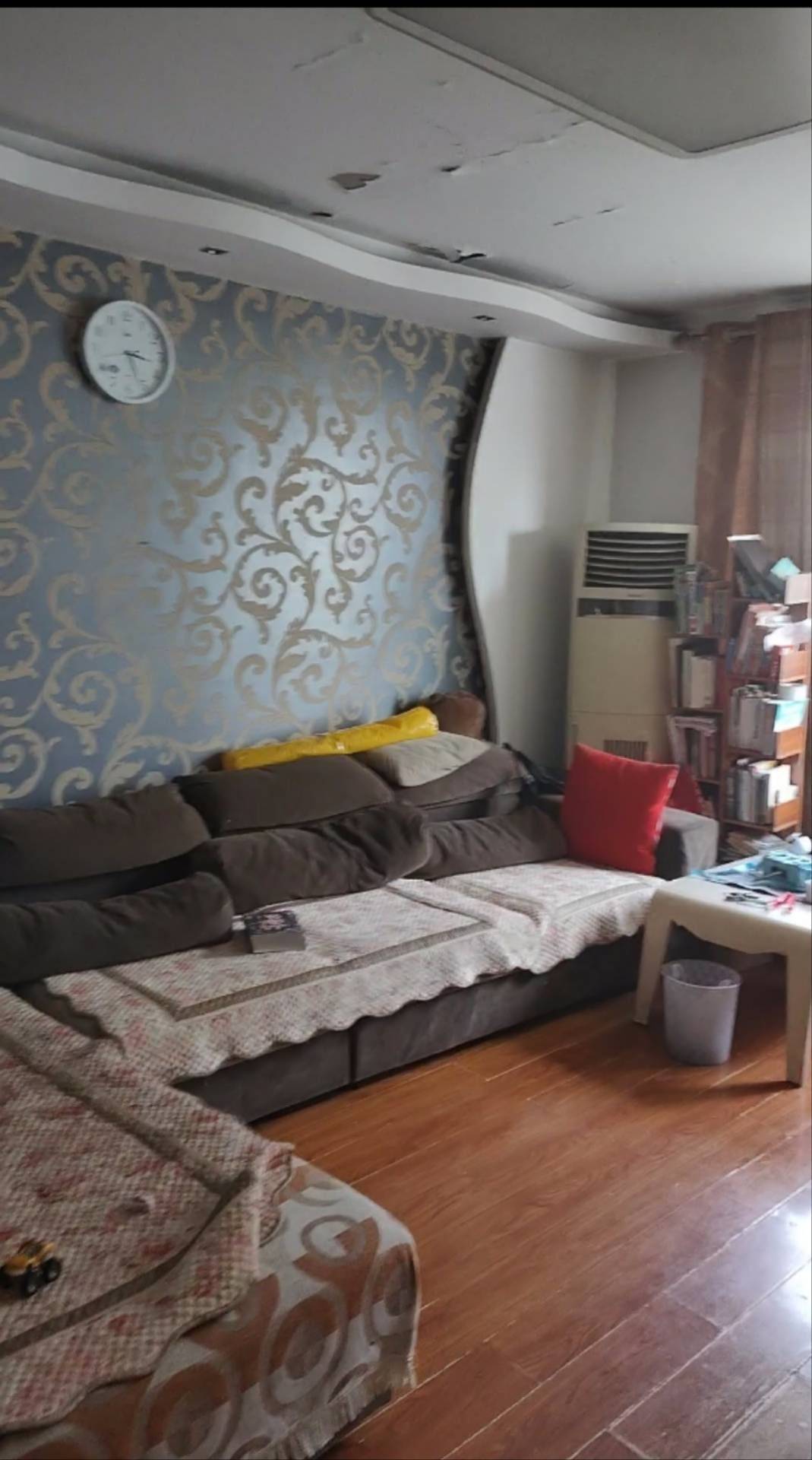 郑州-金水-市井烟火气,宠物友好