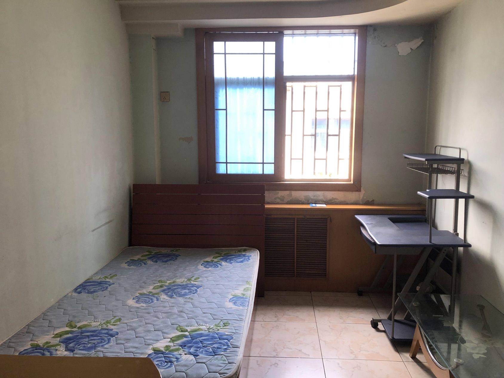 郑州-金水-溫馨小窩,乾淨治愈,不限性別,寵物友好