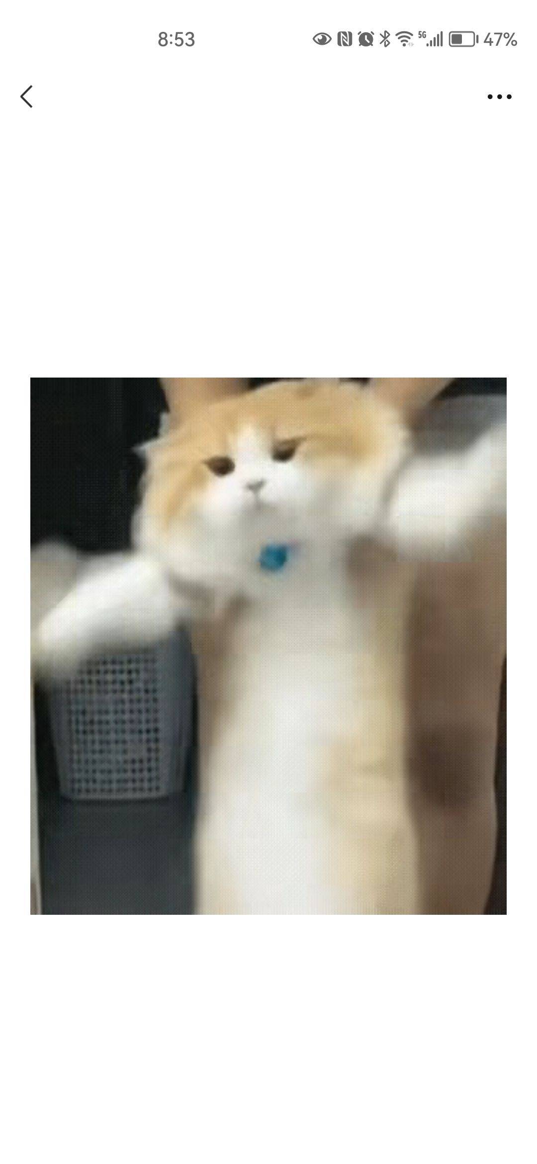 金