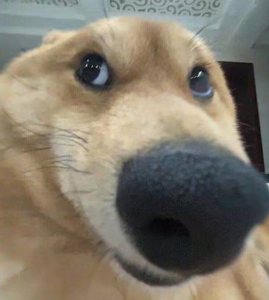 包子