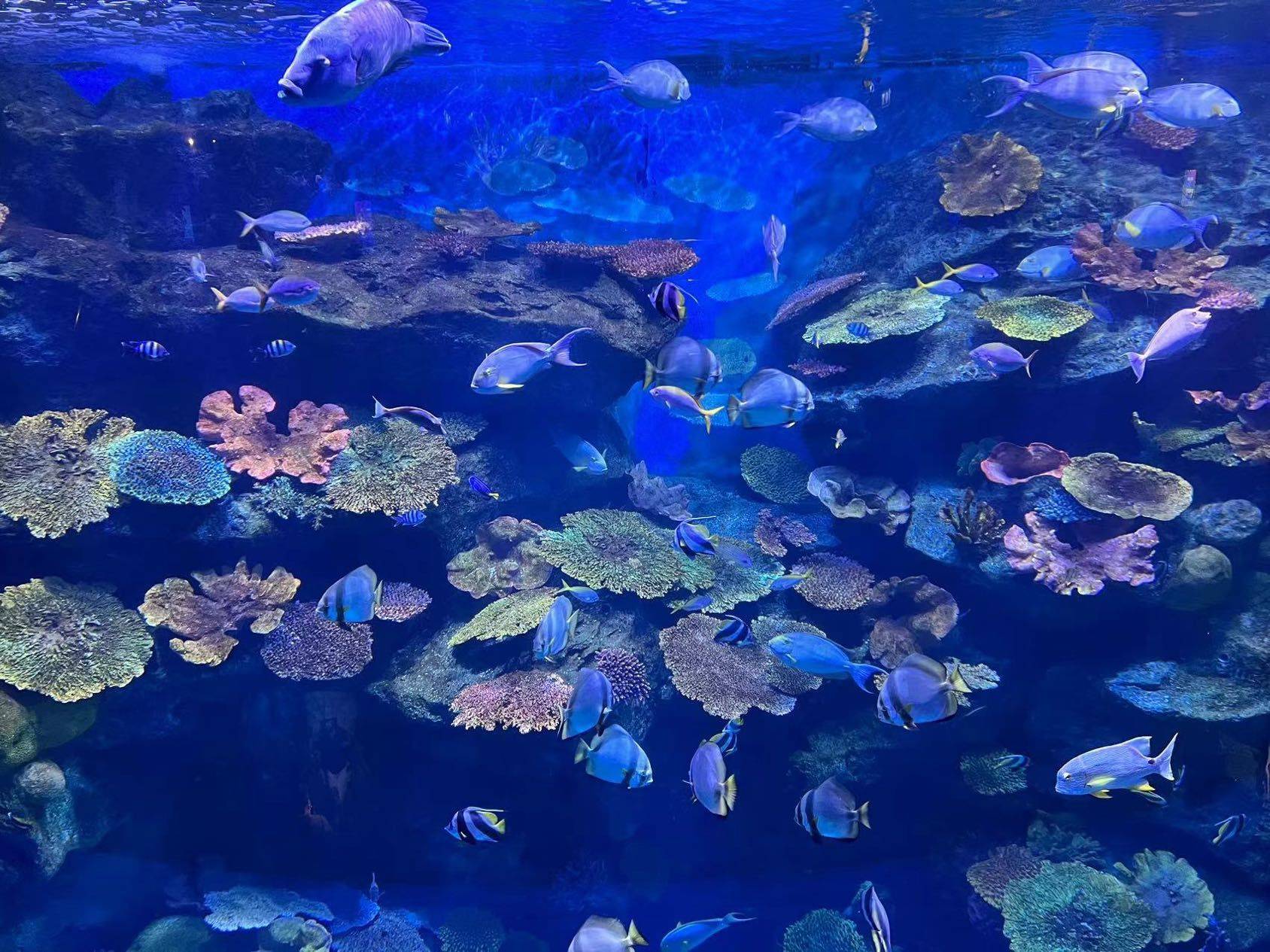 小波