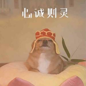 兔八哥
