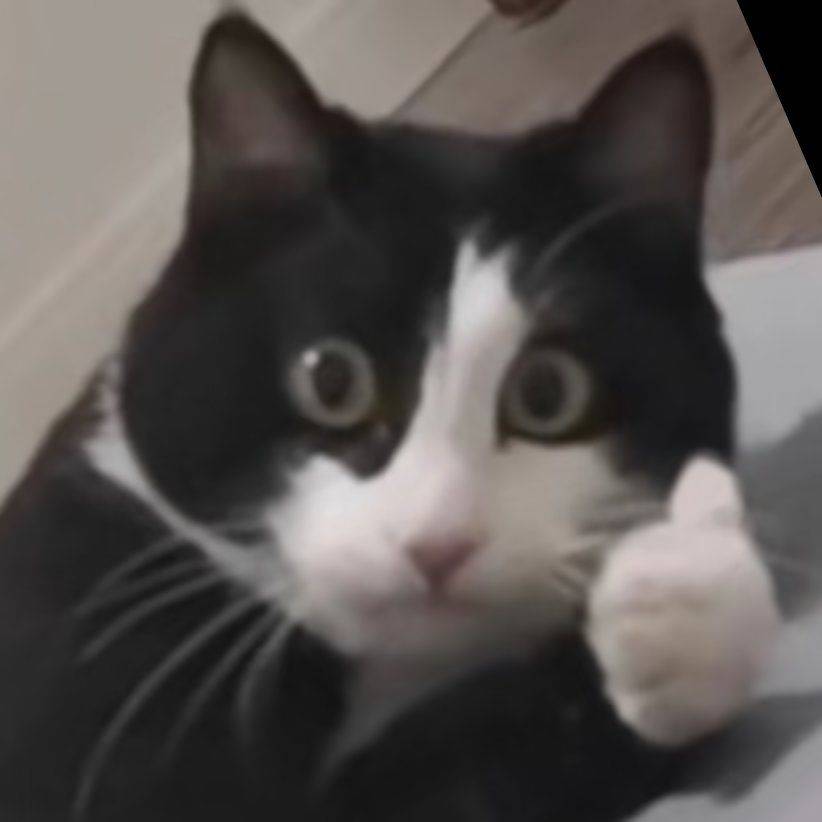 thank_y