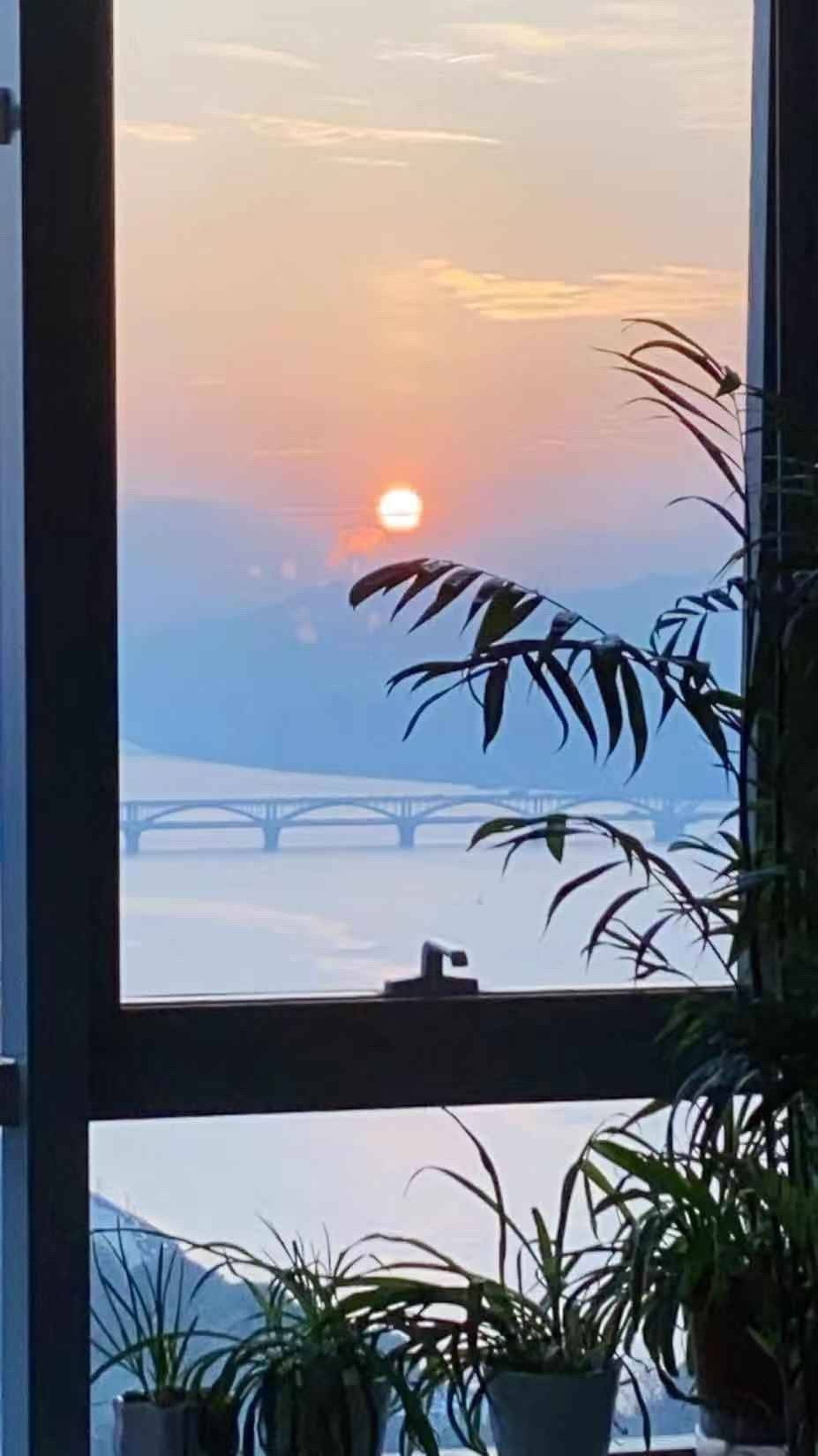 杭州-滨江-温馨小窝,干净治愈,不限性别,慢时光