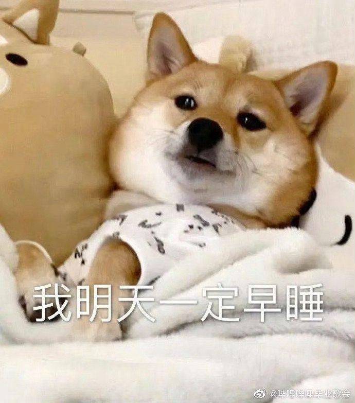 南柯一梦