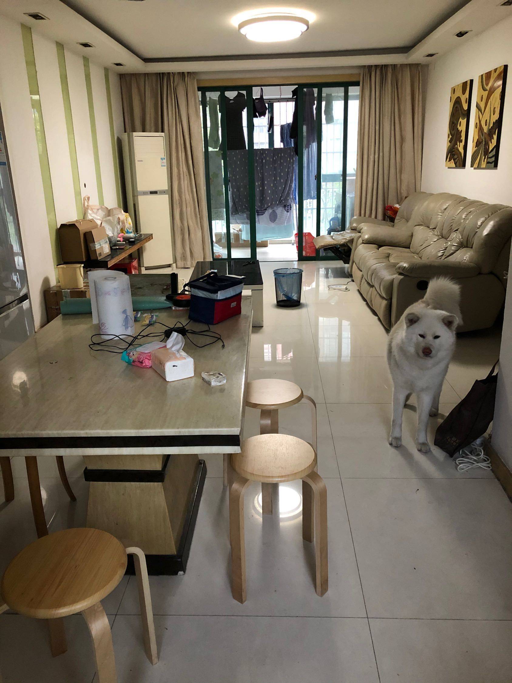 Shanghai-Baoshan-Cozy Home,Clean&Comfy,No Gender Limit