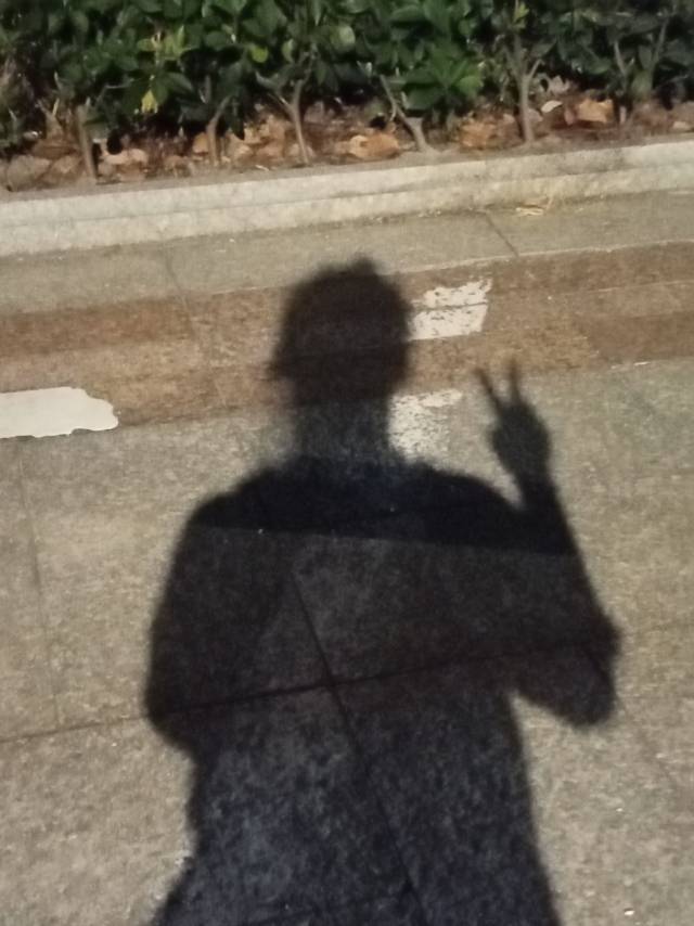 桐