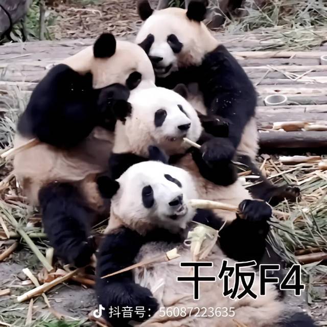 📷=_=