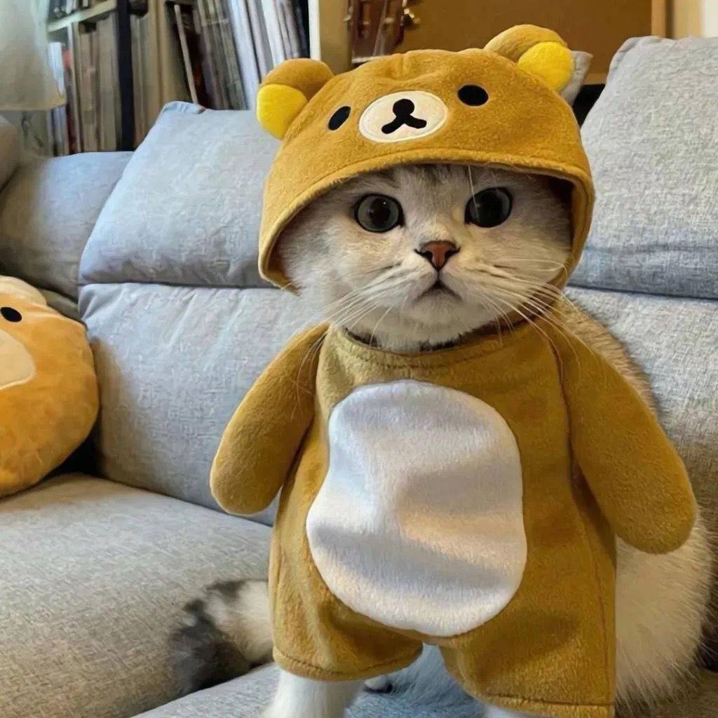 俗人