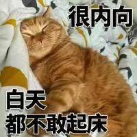 流芳百世的代号