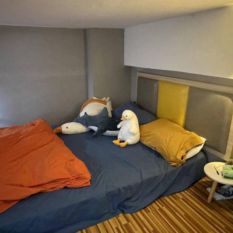 广州 白云 | 白兔青年公寓_6