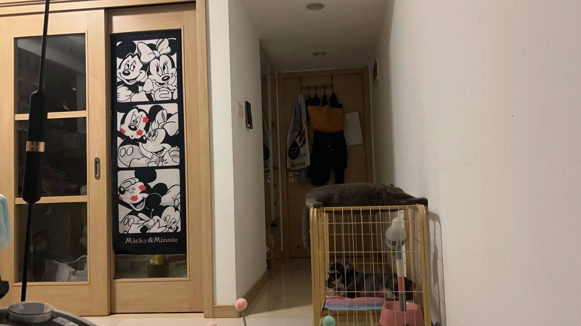 東莞 長安 | 万科·金色悦府_4