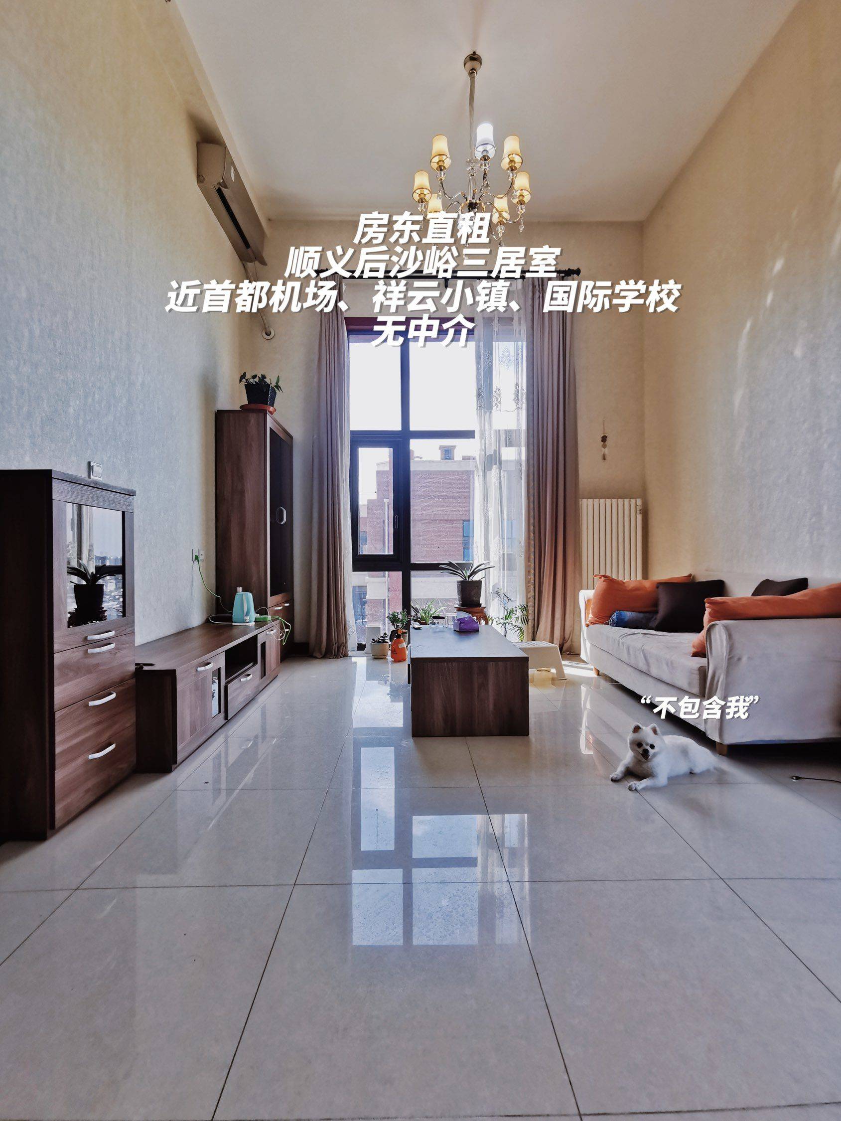 Beijing-Shunyi-不能养宠物,Cozy Home,Clean&Comfy